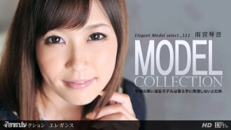 Model Collection select ... 111 優雅