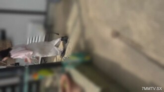 [2 botol dengan manfaat mewah. Sebelum 31 Julai] Tingginya 148cm dan semula jadi. Lelaki tua itu tidur dan mulutnya berada di tengah hari. Putera tua dan ketiga-tiga lelaki itu datang dan menebusnya. | Pasaran elektronik FC2