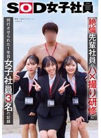 記錄了三名一年級女員工被迫陪同一名性慾旺盛的資深同事參加性愛拍攝培訓課程的事件。